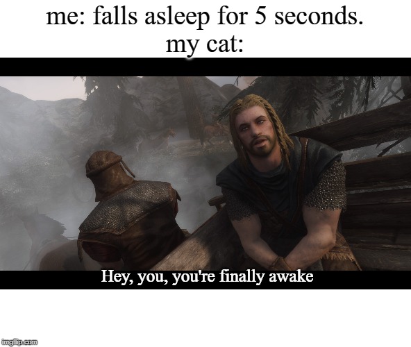Skyrim you're finally awake | me: falls asleep for 5 seconds.
my cat:; Hey, you, you're finally awake | image tagged in skyrim you're finally awake | made w/ Imgflip meme maker
