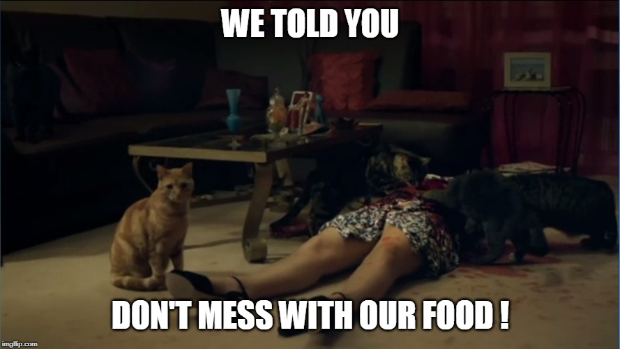 Cat food | WE TOLD YOU; DON'T MESS WITH OUR FOOD ! | image tagged in cats,food | made w/ Imgflip meme maker