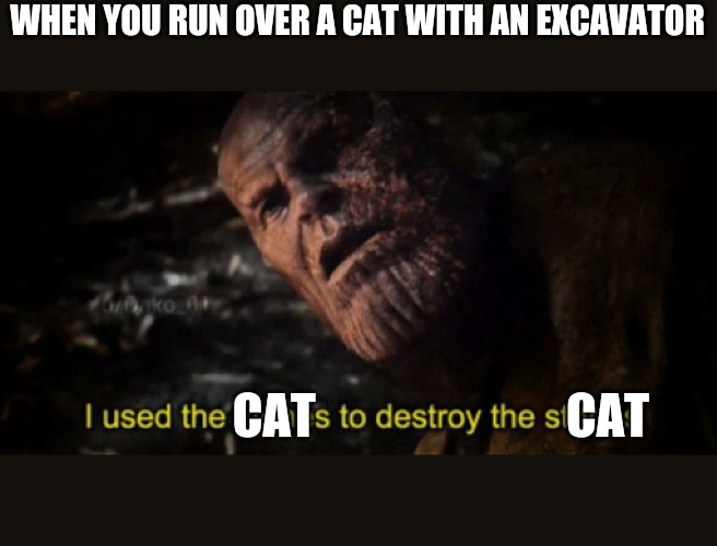 I used the stones to destroy the stones | WHEN YOU RUN OVER A CAT WITH AN EXCAVATOR; CAT                          CAT | image tagged in i used the stones to destroy the stones | made w/ Imgflip meme maker