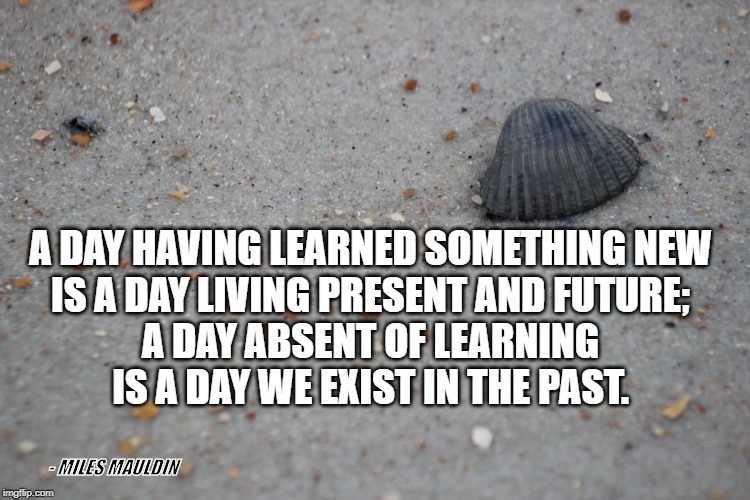 Life Lived Well | A DAY HAVING LEARNED SOMETHING NEW
IS A DAY LIVING PRESENT AND FUTURE;

A DAY ABSENT OF LEARNING
IS A DAY WE EXIST IN THE PAST. - MILES MAULDIN | image tagged in living | made w/ Imgflip meme maker