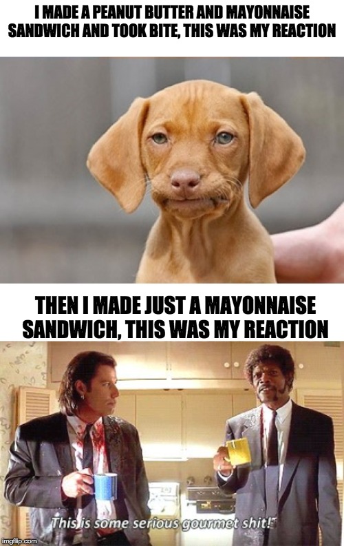 i didn't know what to expect | I MADE A PEANUT BUTTER AND MAYONNAISE SANDWICH AND TOOK BITE, THIS WAS MY REACTION; THEN I MADE JUST A MAYONNAISE SANDWICH, THIS WAS MY REACTION | image tagged in well shit,this is some serious gourmet shit | made w/ Imgflip meme maker