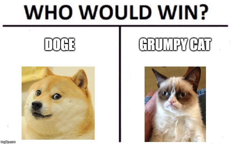 Who Would Win? Meme | DOGE; GRUMPY CAT | image tagged in memes,who would win | made w/ Imgflip meme maker