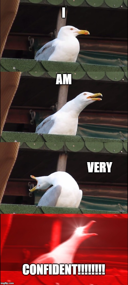 Inhaling Seagull Meme | I; AM; VERY; CONFIDENT!!!!!!!! | image tagged in memes,inhaling seagull | made w/ Imgflip meme maker