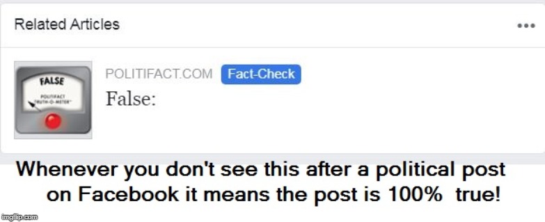 FB Fact check | image tagged in internet police,thought control,facebook fact check | made w/ Imgflip meme maker
