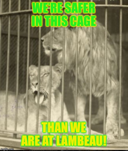 Caged Lions | WE’RE SAFER IN THIS CAGE; THAN WE ARE AT LAMBEAU! | image tagged in green bay packers | made w/ Imgflip meme maker
