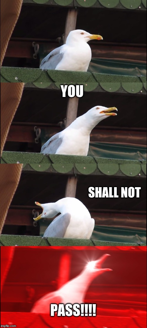 Inhaling Seagull | YOU; SHALL NOT; PASS!!!! | image tagged in memes,inhaling seagull | made w/ Imgflip meme maker