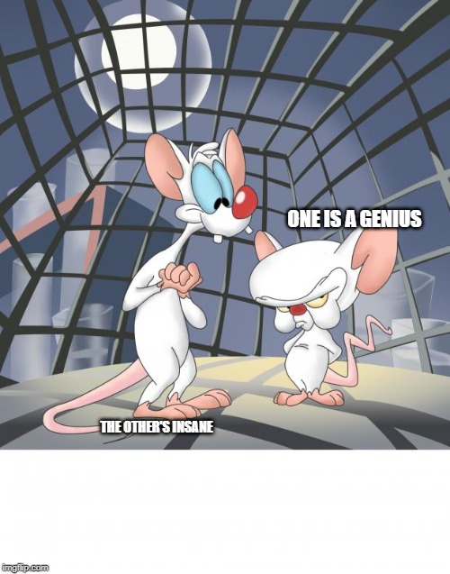 Pinky and the brain | ONE IS A GENIUS; THE OTHER'S INSANE | image tagged in pinky and the brain | made w/ Imgflip meme maker