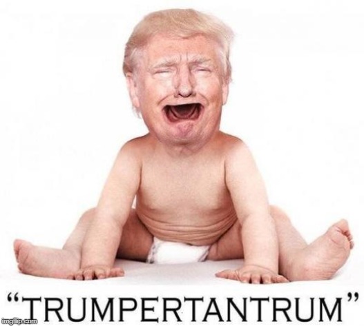 Our First Crybaby | . | image tagged in trump our first crybaby,infant,child,crying | made w/ Imgflip meme maker
