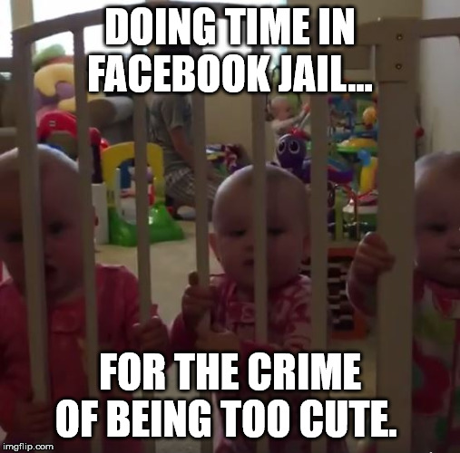 Busby Quints In Facebook Jail (Version 2) | DOING TIME IN FACEBOOK JAIL... FOR THE CRIME OF BEING TOO CUTE. | image tagged in busbyquints,facebookjail,outdaughtered | made w/ Imgflip meme maker