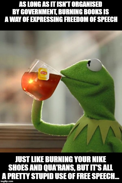 But That's None Of My Business Meme | AS LONG AS IT ISN'T ORGANISED BY GOVERNMENT, BURNING BOOKS IS  A WAY OF EXPRESSING FREEDOM OF SPEECH JUST LIKE BURNING YOUR NIKE SHOES AND Q | image tagged in memes,but thats none of my business,kermit the frog | made w/ Imgflip meme maker