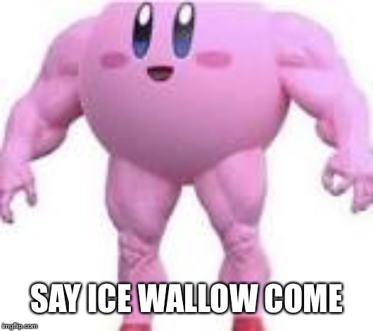 Ice wallow come | SAY ICE WALLOW COME | image tagged in kirby,nintendo,memes | made w/ Imgflip meme maker