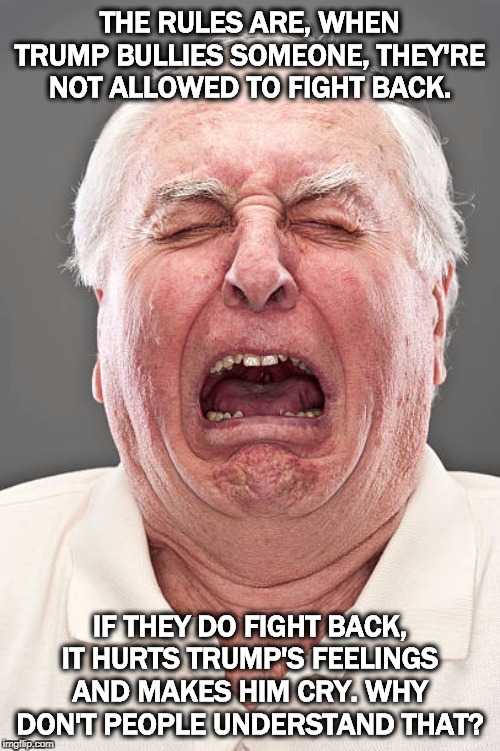 Conservative tears | THE RULES ARE, WHEN TRUMP BULLIES SOMEONE, THEY'RE NOT ALLOWED TO FIGHT BACK. IF THEY DO FIGHT BACK, IT HURTS TRUMP'S FEELINGS AND MAKES HIM CRY. WHY DON'T PEOPLE UNDERSTAND THAT? | image tagged in conservative tears,trump,bully,crybaby | made w/ Imgflip meme maker