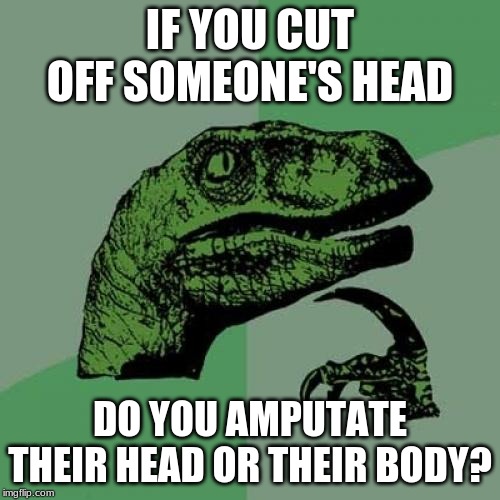 Philosoraptor | IF YOU CUT OFF SOMEONE'S HEAD; DO YOU AMPUTATE THEIR HEAD OR THEIR BODY? | image tagged in memes,philosoraptor | made w/ Imgflip meme maker