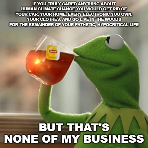 But That's None Of My Business | IF YOU TRULY CARED ANYTHING ABOUT HUMAN CLIMATE CHANGE YOU WOULD GET RID OF YOUR CAR, YOUR HOME, EVERY ELECTRONIC YOU OWN, YOUR CLOTHES, AND GO LIVE IN THE WOODS FOR THE REMAINDER OF YOUR PATHETIC, HYPOCRITICAL LIFE; BUT THAT'S NONE OF MY BUSINESS | image tagged in memes,but thats none of my business,kermit the frog | made w/ Imgflip meme maker