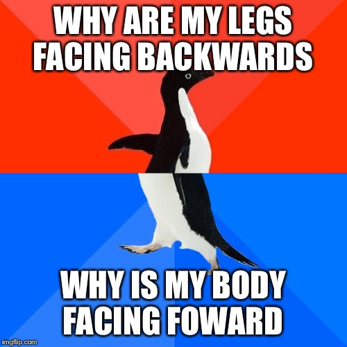 Socially Awesome Awkward Penguin Meme | WHY ARE MY LEGS FACING BACKWARDS; WHY IS MY BODY FACING FOWARD | image tagged in memes,socially awesome awkward penguin | made w/ Imgflip meme maker