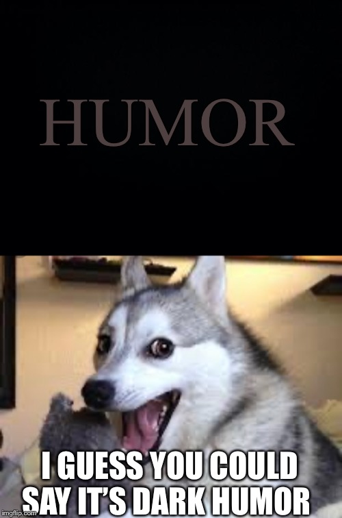 HUMOR; I GUESS YOU COULD SAY IT’S DARK HUMOR | image tagged in dark humor,bad pun dog,jokes,memes | made w/ Imgflip meme maker