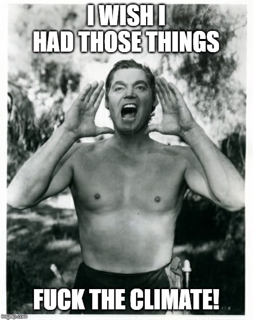 tarzan hodls | I WISH I HAD THOSE THINGS F**K THE CLIMATE! | image tagged in tarzan hodls | made w/ Imgflip meme maker