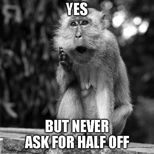 Wise Monkey | YES BUT NEVER ASK FOR HALF OFF | image tagged in wise monkey | made w/ Imgflip meme maker