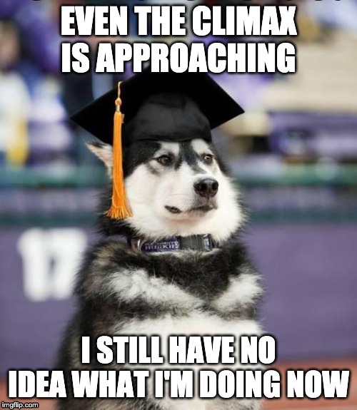 Graduate Dog | EVEN THE CLIMAX IS APPROACHING; I STILL HAVE NO IDEA WHAT I'M DOING NOW | image tagged in graduate dog | made w/ Imgflip meme maker