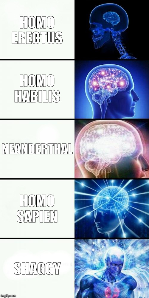 Ultimate Expanding Brain | HOMO ERECTUS; HOMO HABILIS; NEANDERTHAL; HOMO SAPIEN; SHAGGY | image tagged in ultimate expanding brain | made w/ Imgflip meme maker