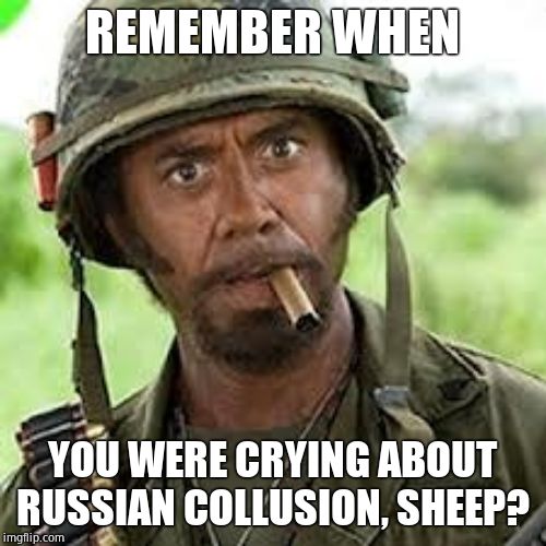 Never go full retard | REMEMBER WHEN YOU WERE CRYING ABOUT RUSSIAN COLLUSION, SHEEP? | image tagged in never go full retard | made w/ Imgflip meme maker