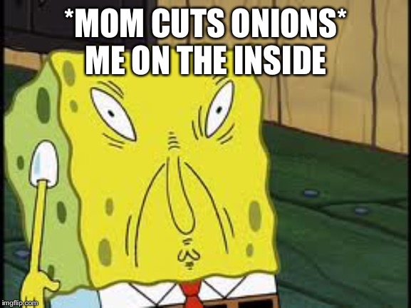 Ya_Mum_Gay111 | *MOM CUTS ONIONS*
ME ON THE INSIDE | image tagged in ya_mum_gay111 | made w/ Imgflip meme maker