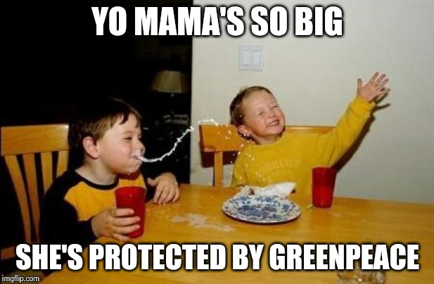 It's always "Yo Momma" week | YO MAMA'S SO BIG SHE'S PROTECTED BY GREENPEACE | image tagged in yo momma so fat,special,friends,greenpeace,the silent protector | made w/ Imgflip meme maker