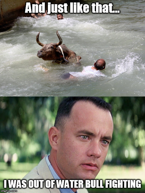 Out of Water Bull Fighting | And just like that... I WAS OUT OF WATER BULL FIGHTING | image tagged in and just like that,funny memes,forrest gump,bulls,water | made w/ Imgflip meme maker