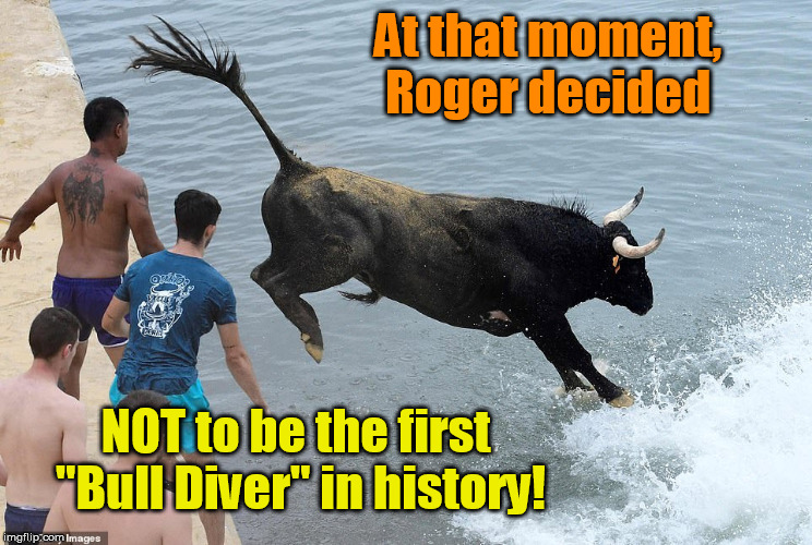 First "Bull Diver" in History! | At that moment,
Roger decided; NOT to be the first 
"Bull Diver" in history! | image tagged in bull diving,funny memes,diving,bull,water,roger | made w/ Imgflip meme maker