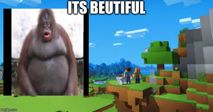ITS BEUTIFUL | image tagged in minecraft,monkey | made w/ Imgflip meme maker