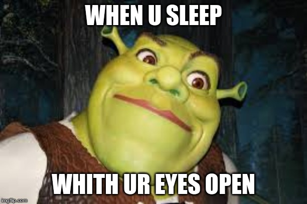 WHEN U SLEEP; WHITH UR EYES OPEN | image tagged in shrek | made w/ Imgflip meme maker