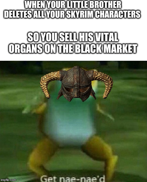 Skyrim Get nae-nae'd |  WHEN YOUR LITTLE BROTHER DELETES ALL YOUR SKYRIM CHARACTERS; SO YOU SELL HIS VITAL ORGANS ON THE BLACK MARKET | image tagged in get nae-nae'd,skyrim,dragonborn | made w/ Imgflip meme maker
