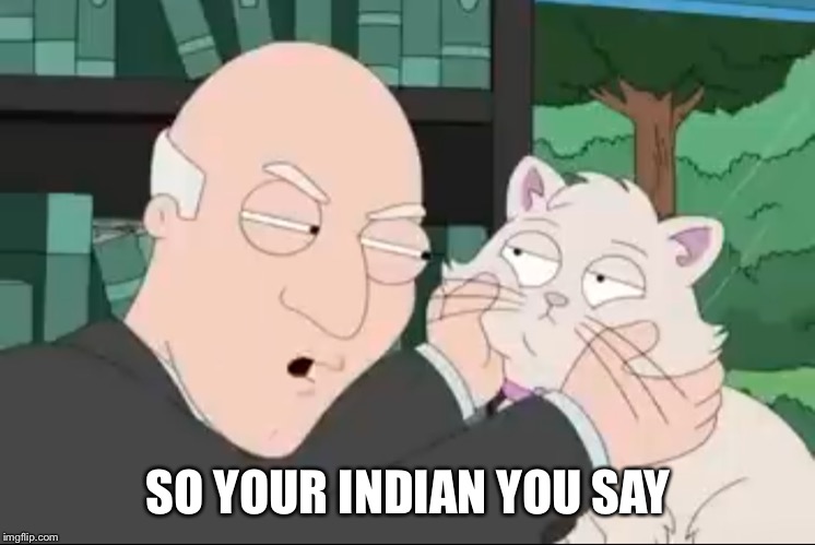 You’ll learn | SO YOUR INDIAN YOU SAY | image tagged in youll learn | made w/ Imgflip meme maker