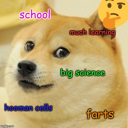 Doge Meme | school; much learning; big science; hooman cells; farts | image tagged in memes,doge | made w/ Imgflip meme maker