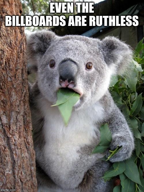 Surprised Koala Meme | EVEN THE BILLBOARDS ARE RUTHLESS | image tagged in memes,surprised koala | made w/ Imgflip meme maker