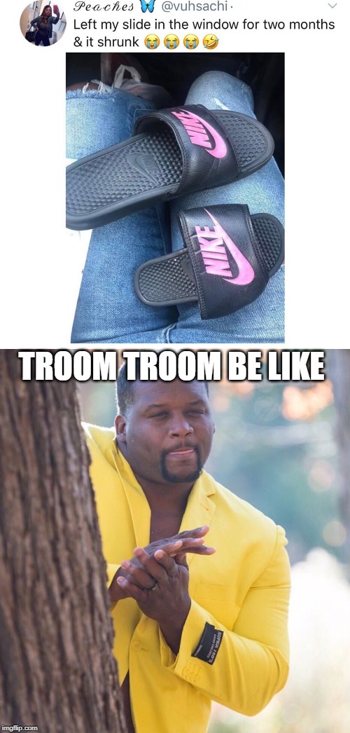 TROOM TROOM BE LIKE | image tagged in black guy behind tree | made w/ Imgflip meme maker