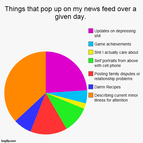 image tagged in funny,pie charts,social media,facebook | made w/ Imgflip chart maker