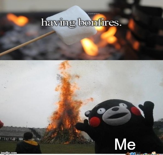 Having Bonfires | Me | image tagged in bonfire,funny,memes,fire | made w/ Imgflip meme maker