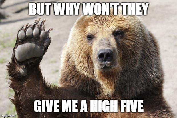 High Five Bear | BUT WHY WON'T THEY GIVE ME A HIGH FIVE | image tagged in high five bear | made w/ Imgflip meme maker