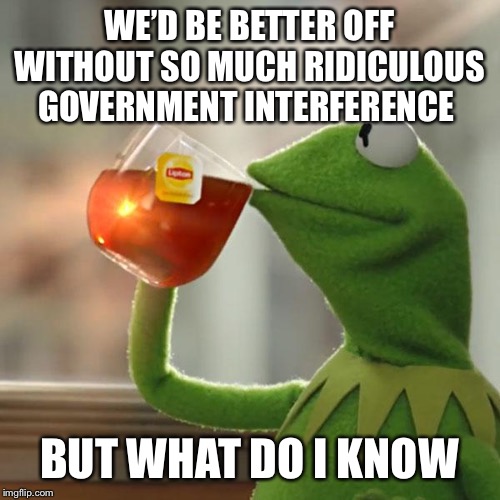But That's None Of My Business Meme | WE’D BE BETTER OFF WITHOUT SO MUCH RIDICULOUS GOVERNMENT INTERFERENCE BUT WHAT DO I KNOW | image tagged in memes,but thats none of my business,kermit the frog | made w/ Imgflip meme maker