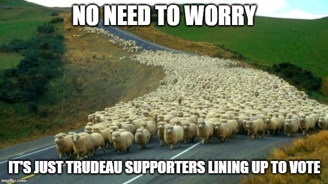 It takes effort to think for yourself | NO NEED TO WORRY; IT'S JUST TRUDEAU SUPPORTERS LINING UP TO VOTE | image tagged in trudeau,justin trudeau,sheeple,stupid liberals,lying politician,stupid people | made w/ Imgflip meme maker