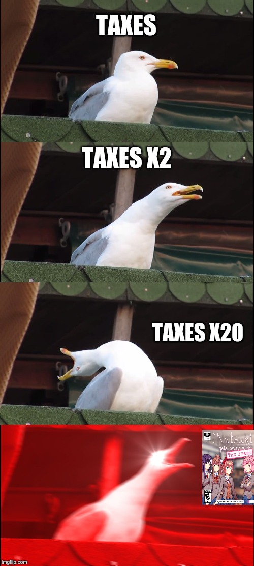 Inhaling Seagull Meme | TAXES TAXES X2 TAXES X20 | image tagged in memes,inhaling seagull | made w/ Imgflip meme maker