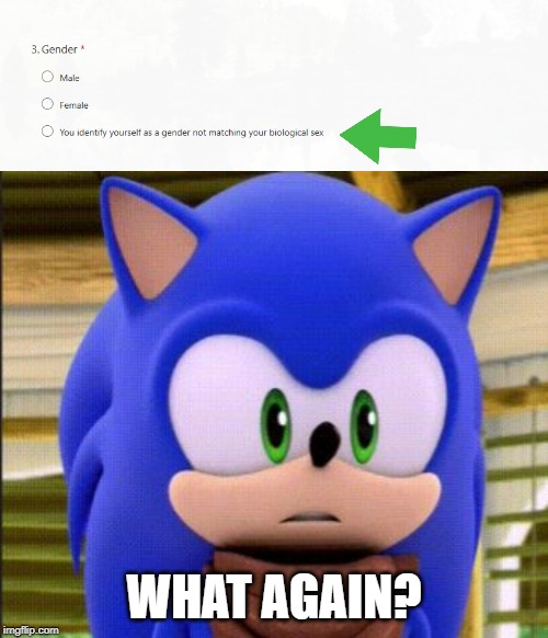 (A hacker was here) | WHAT AGAIN? | image tagged in surprised sonic,hackers | made w/ Imgflip meme maker