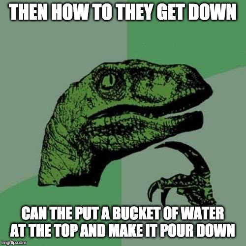 Philosoraptor Meme | THEN HOW TO THEY GET DOWN CAN THE PUT A BUCKET OF WATER AT THE TOP AND MAKE IT POUR DOWN | image tagged in memes,philosoraptor | made w/ Imgflip meme maker