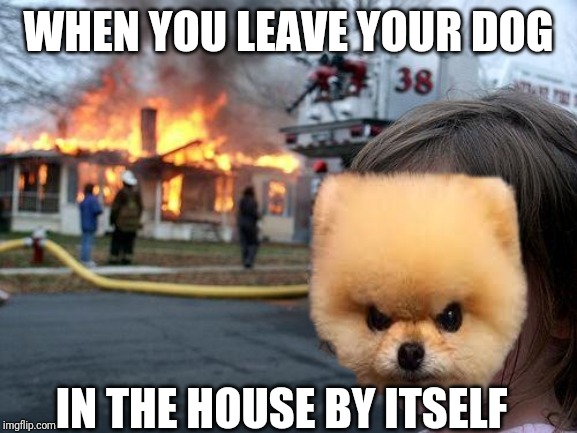 Disaster Girl Meme | WHEN YOU LEAVE YOUR DOG; IN THE HOUSE BY ITSELF | image tagged in memes,disaster girl | made w/ Imgflip meme maker