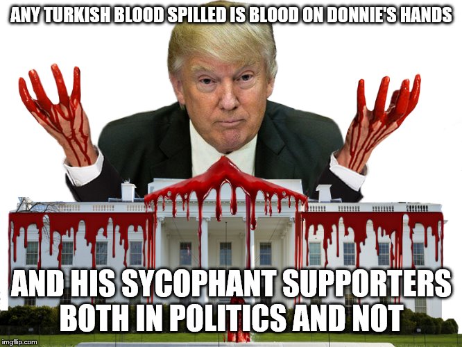 Trump with Blood on Hands | ANY TURKISH BLOOD SPILLED IS BLOOD ON DONNIE'S HANDS; AND HIS SYCOPHANT SUPPORTERS BOTH IN POLITICS AND NOT | image tagged in trump with blood on hands | made w/ Imgflip meme maker
