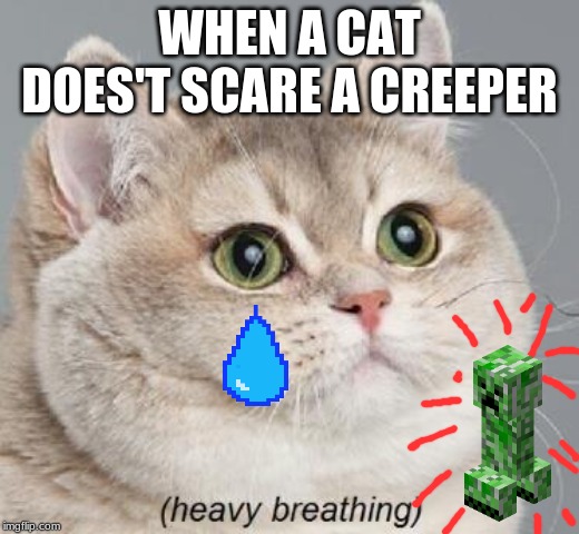 Heavy Breathing Cat | WHEN A CAT DOES'T SCARE A CREEPER | image tagged in memes,heavy breathing cat | made w/ Imgflip meme maker