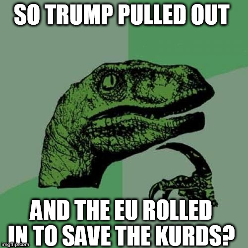 Philosoraptor Meme | SO TRUMP PULLED OUT; AND THE EU ROLLED IN TO SAVE THE KURDS? | image tagged in memes,philosoraptor | made w/ Imgflip meme maker