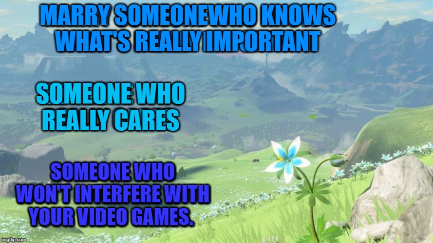 Someone who won't mess up the game you're playing. | MARRY SOMEONEWHO KNOWS WHAT'S REALLY IMPORTANT; SOMEONE WHO REALLY CARES; SOMEONE WHO WON'T INTERFERE WITH YOUR VIDEO GAMES. | image tagged in nixieknox,memes | made w/ Imgflip meme maker