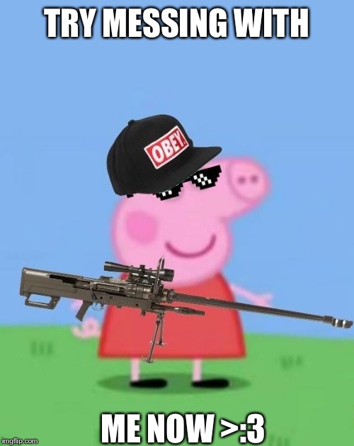 Mlg peppa pig | TRY MESSING WITH; ME NOW >:3 | image tagged in mlg peppa pig | made w/ Imgflip meme maker